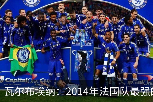 瓦尔布埃纳：2014年法国队最强的是博格巴，最被低估的是马图伊迪